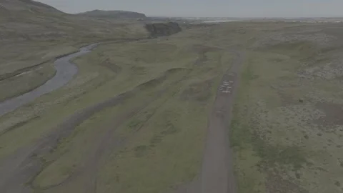 DOG SLEIGH Video stock 328151335