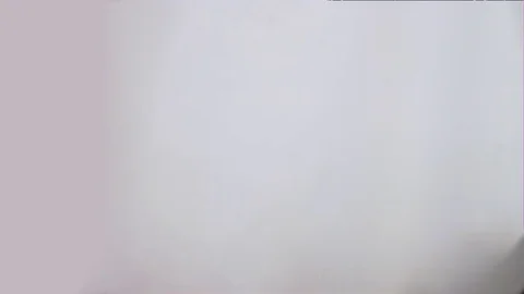 Dog Slowmotion Jumping Stock Footage 84576685