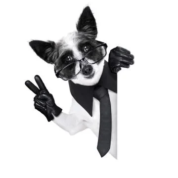 Dog  smartphone Illustration