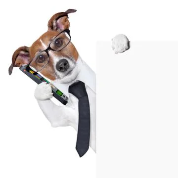 Dog  smartphone Stock-Fotos