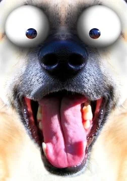 Dog smile Stock Illustration