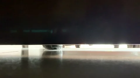 Dog sniffing at door 库存影片 145439722