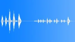 Dog sniffingSound Effect