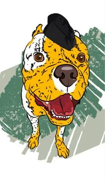 Dog soldier. Hand drawn vector fun portrait. Stock Illustration