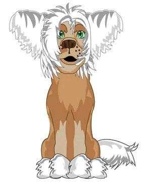 Dog of the sort chinese crested sits type frontal Stock Illustration