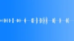 DOG Sound Effect