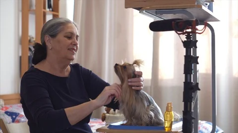 Dog specialist doing vlogging using microphone and camera. Video stock 103209866