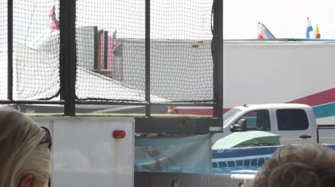 Dog Splash Stock Footage 27816598