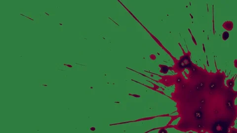Dog Standing Isolated Green Screen Stock Video Stock Footage 338018119