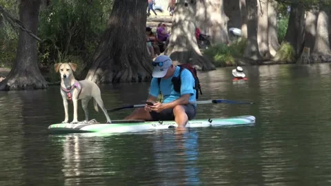Dog standing on paddle board while owner surfs the web on cellphone Vídeo Stock 142273150