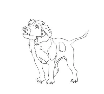 Dog stands, lines, vector Illustrazione stock