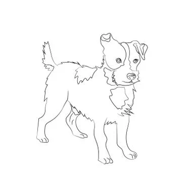 Dog stands, lines, vector Stock Illustration