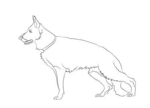 Dog stands, lines, vector Stock Illustration