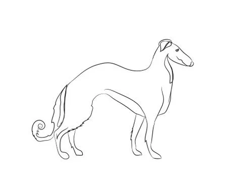 Dog stands, lines, vector Stock Illustration