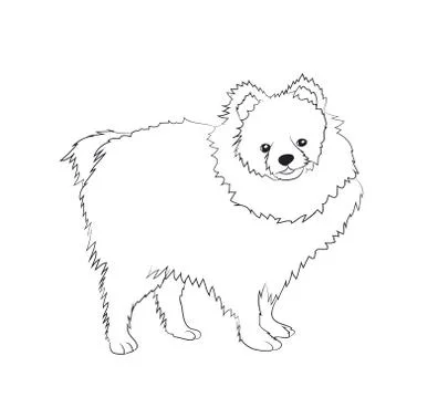 Dog stands, lines, vector Illustrazione stock