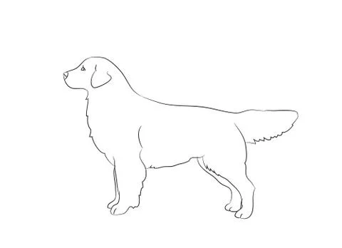 Dog stands, lines, vector Stock Illustration