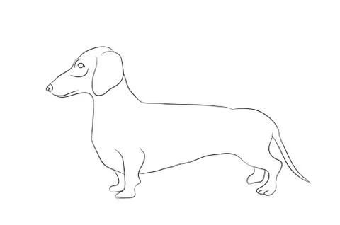 Dog stands, lines, vector Stock Illustration