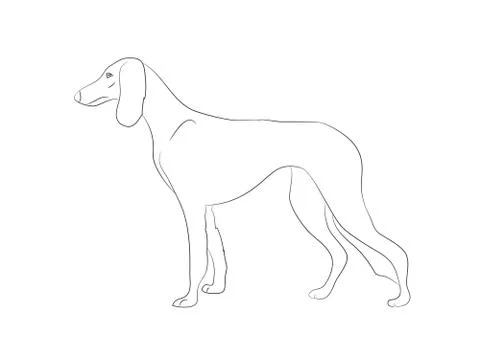 Dog stands, lines, vector Stock-Illustration