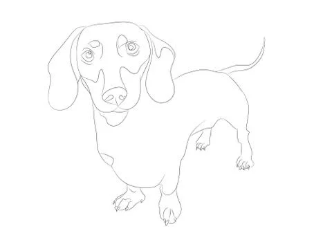 Dog stands, lines, vector Stock Illustration
