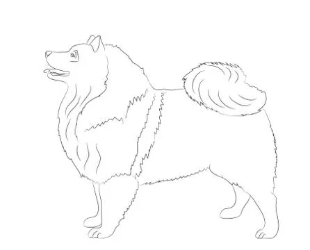 Dog stands, lines, vector Illustrazione stock