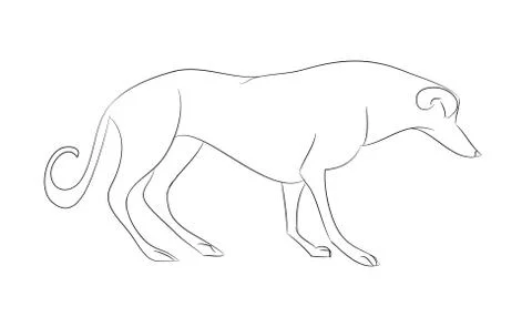 Dog stands, lines, vector Stock Illustration