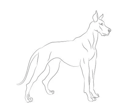 Dog stands, lines, vector Stock Illustration