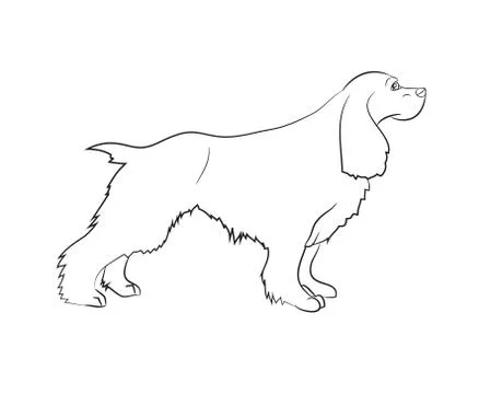 Dog stands, lines, vector Illustrazione stock