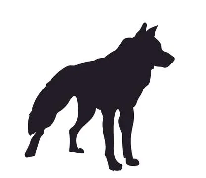 Dog stands, silhouette, vector Illustrazione stock