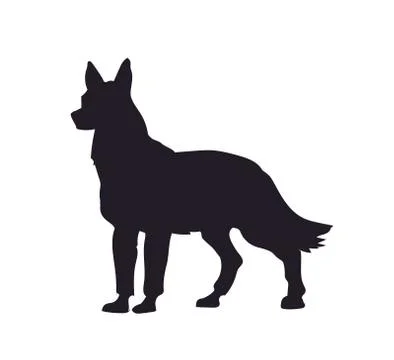 Dog stands, silhouette, vector Illustrazione stock