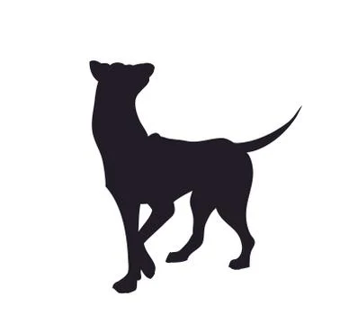 Dog stands, silhouette, vector Stock-Illustration