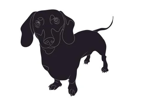 Dog stands, silhouette, vector Illustrazione stock