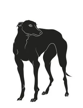 Dog stands, silhouette, vector Stock Illustration