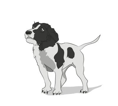 Dog stands, vector Stock Illustration