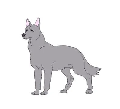 Dog stands, vector Illustrazione stock