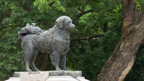 Dog statue Stock Photos