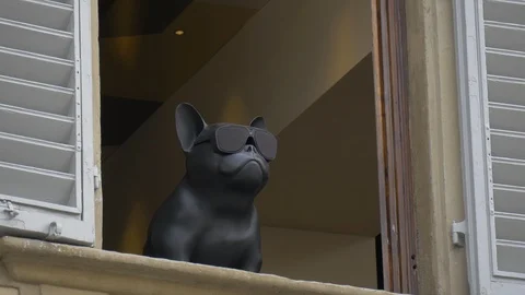 A dog statue at a window Stock Footage 87581862