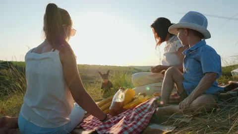 Dog stealing an apple from a picnic table Stock Footage 134674144