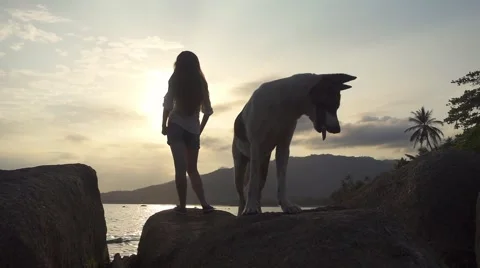 A Dog on a Stone and Long-Haired Woman Standing Back Against the Sunset Sea Stock Footage 60010256