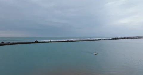 Dog swimming in a pool on the beach Stock Footage 230659874