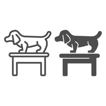 Dog on table line and solid icon, animal hospital concept, Dachshund standing on 스톡 일러스트