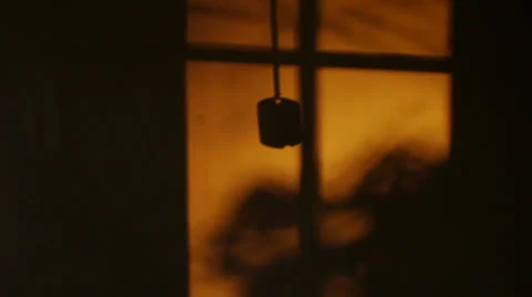 Dog Tags at Sunset Stock-Footage 22575198