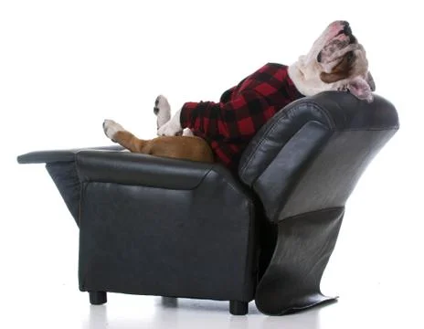 Dog tired Foto stock