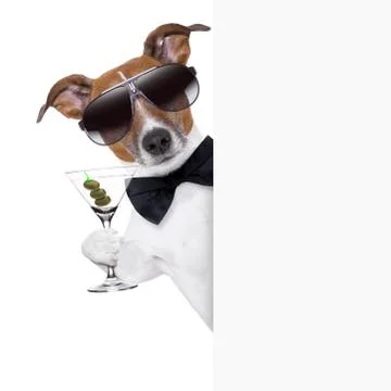 Dog toasting Foto stock