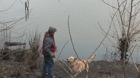 Dog told to fetch but does not Video stock 36632716