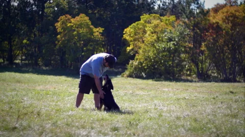 Dog trainer and young german shepherd friendship in the field Stock Footage 59965201
