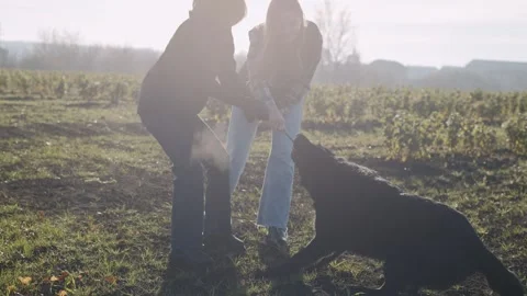 Dog trainer guides handler in working with a black shepherd in a field Video stock 320453579