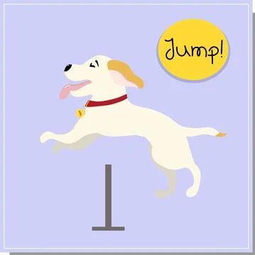 DOG training, command barrier. Beautiful dog training, great design for any p Illustrazione stock