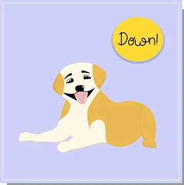 DOG training, command to lie down. Beautiful dog training, great design for a Illustrazione stock