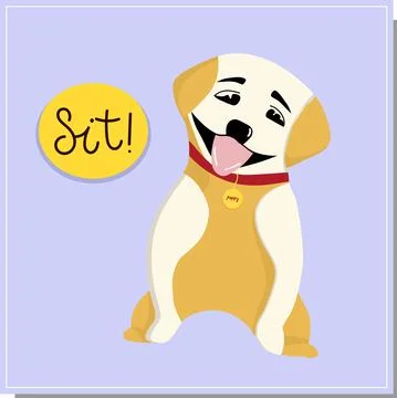 DOG training, command sit. Beautiful dog training, great design for any purpo Illustrazione stock