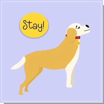 DOG training, command to stand. Beautiful dog training, great design for any  Stock Illustration